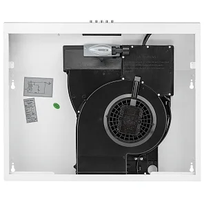 LOTTE 600 white PB