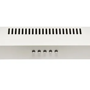 EVA 500 white PB