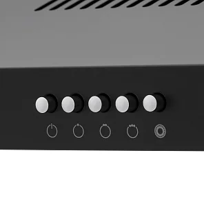 ERMINA 500 black PB
